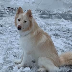 Meet your Posher, Pam